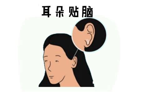 耳朵貼腦女人|這四種面相的女人最擅長掌握婚姻